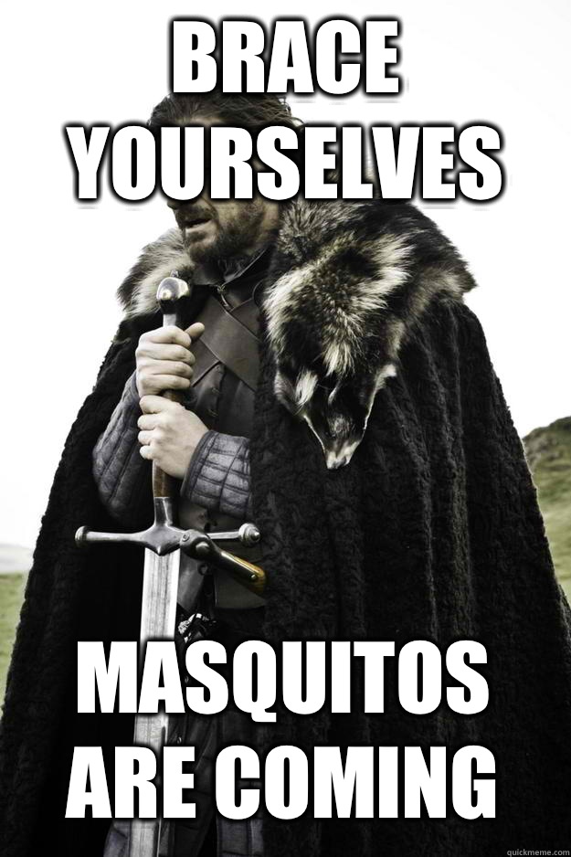 Brace yourselves Masquitos are coming  Winter is coming