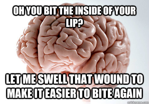 OH you bit the inside of your lip? let me swell that wound to make it easier to bite again    Scumbag Brain