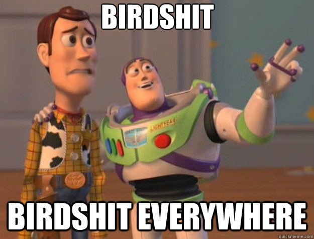 Birdshit birdshit everywhere  Toy Story