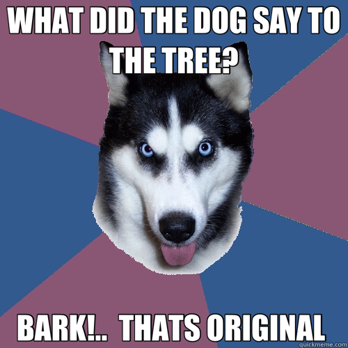 WHAT DID THE DOG SAY TO THE TREE? BARK!..  THATS ORIGINAL   Creeper Canine