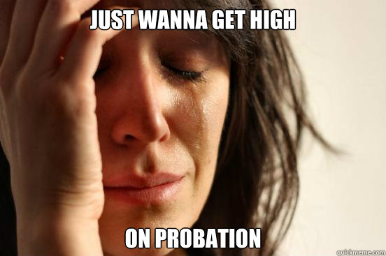 Just wanna get high On probation  First World Problems