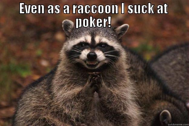 EVEN AS A RACCOON I SUCK AT POKER!  Evil Plotting Raccoon