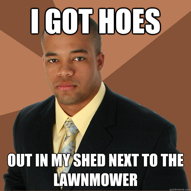 I GOT HOES out in my shed next to the lawnmower  Successful Black Man