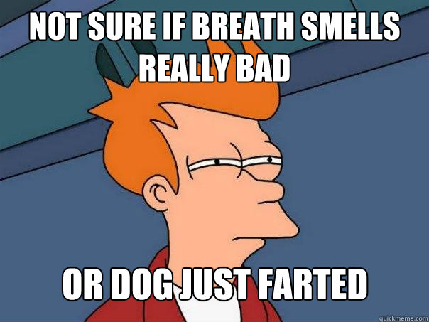 Not sure if breath smells really bad or dog just farted  Futurama Fry