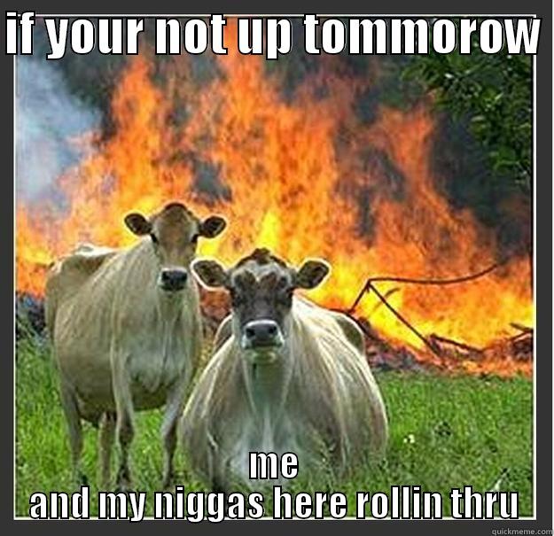 wtf is this - IF YOUR NOT UP TOMMOROW  ME AND MY NIGGAS HERE ROLLIN THRU Evil cows