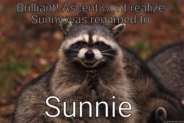 BRILLIANT! ASCENT WONT REALIZE SUNNY WAS RENAMED TO SUNNIE Evil Plotting Raccoon