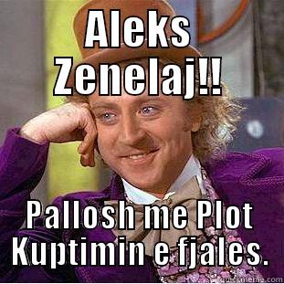 ALEKS ZENELAJ!! PALLOSH ME PLOT KUPTIMIN E FJALES. Condescending Wonka