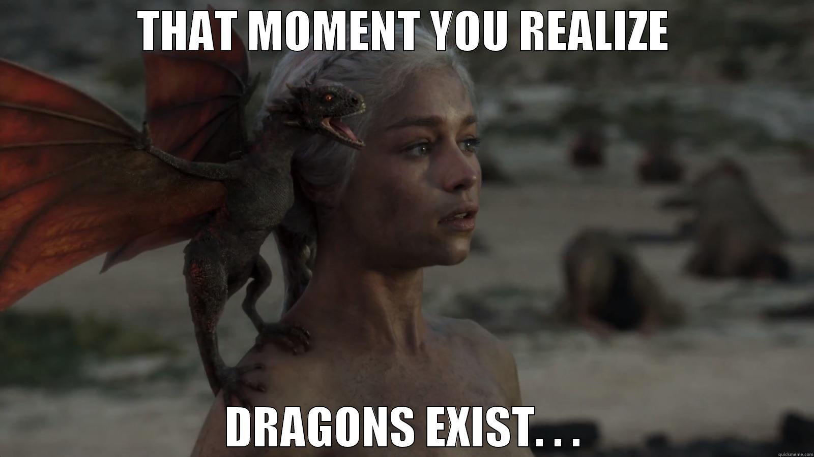 THAT MOMENT YOU REALIZE DRAGONS EXIST. . . Misc