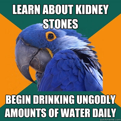 Learn about kidney stones begin drinking ungodly amounts of water daily  Paranoid Parrot