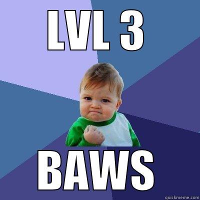 LVL 3 BAWS Success Kid