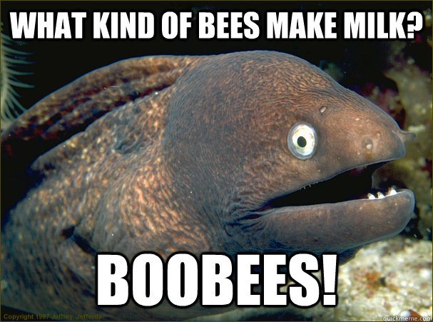 What kind of bees make milk? boobees!  Bad Joke Eel