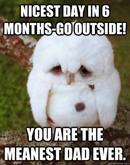 nicest day in 6 months-go outside! you are the meanest dad ever. - nicest day in 6 months-go outside! you are the meanest dad ever.  Depressed Owl