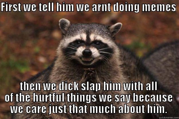 FIRST WE TELL HIM WE ARNT DOING MEMES  THEN WE DICK SLAP HIM WITH ALL OF THE HURTFUL THINGS WE SAY BECAUSE WE CARE JUST THAT MUCH ABOUT HIM. Evil Plotting Raccoon