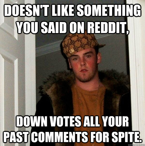 Doesn't like something you said on reddit, Down votes all your past comments for spite.  Scumbag Steve