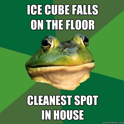 Ice cube falls 
on the floor Cleanest spot 
in house  Foul Bachelor Frog