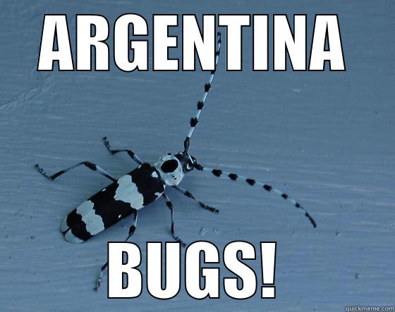 ARGENTINA BUGS! Misc