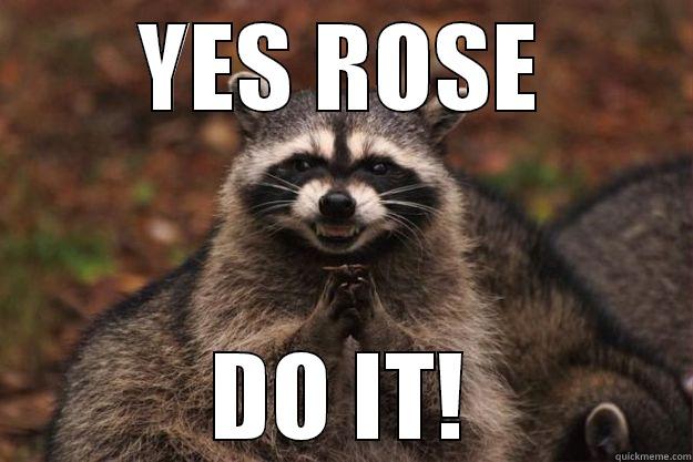 YES ROSE DO IT! Evil Plotting Raccoon