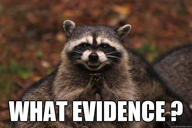 WHAT EVIDENCE ?  Evil Plotting Raccoon