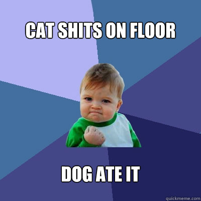 Cat shits on floor  dog ate it   Success Kid