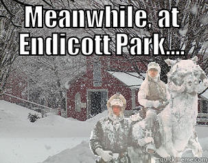 MEANWHILE, AT ENDICOTT PARK....  Misc