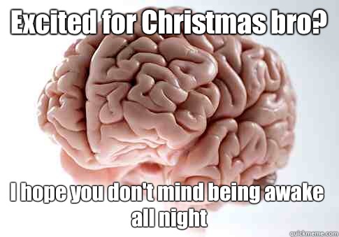 Excited for Christmas bro? I hope you don't mind being awake all night   Scumbag Brain