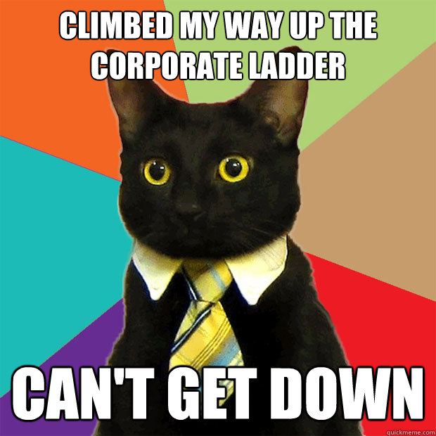 climbed my way up the  corporate ladder can't get down  Business Cat