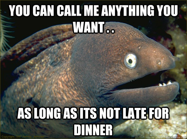 You can call me anything you want . .  As long as its not late for dinner  Bad Joke Eel