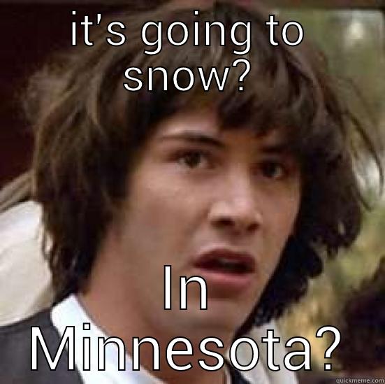 Minnesotan life - IT'S GOING TO SNOW? IN MINNESOTA? conspiracy keanu