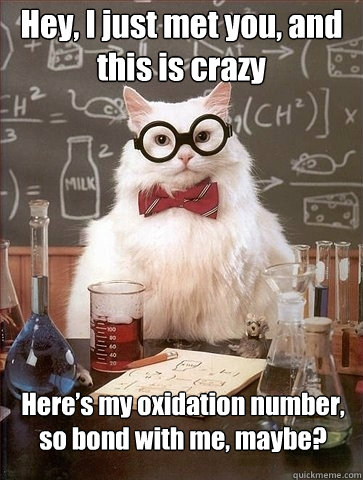 Hey, I just met you, and this is crazy Here’s my oxidation number, so bond with me, maybe?  Chemistry Cat