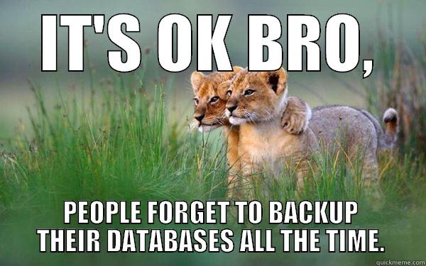 IT'S OK BRO, PEOPLE FORGET TO BACKUP THEIR DATABASES ALL THE TIME. Misc