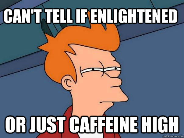 Can't tell if enlightened or just caffeine high  Futurama Fry