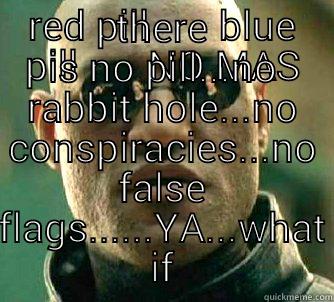 RED PILL       BLUE PILL       NO MAS THERE IS NO PILL...NO RABBIT HOLE...NO CONSPIRACIES...NO FALSE FLAGS......YA...WHAT IF Matrix Morpheus