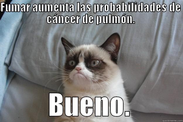 cancer cat - FUMAR AUMENTA LAS PROBABILIDADES DE CÁNCER DE PULMÓN. BUENO. Grumpy Cat