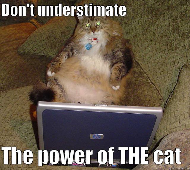 DON'T UNDERSTIMATE                        THE POWER OF THE CAT  Misc