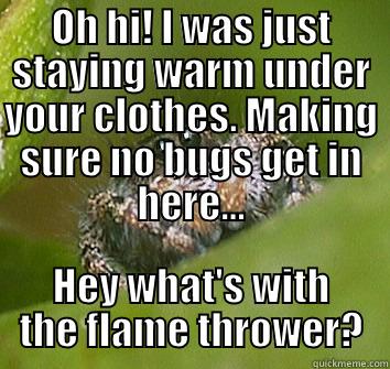 Flamethrower Spider - OH HI! I WAS JUST STAYING WARM UNDER YOUR CLOTHES. MAKING SURE NO BUGS GET IN HERE... HEY WHAT'S WITH THE FLAME THROWER? Misunderstood Spider