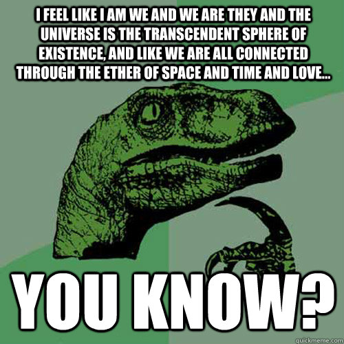 I feel like I am we and we are they and the universe is the transcendent sphere of existence, and like we are all connected through the ether of space and time and love... you know?  Philosoraptor