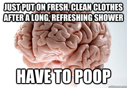 just put on fresh, clean clothes after a long, refreshing shower have to poop - just put on fresh, clean clothes after a long, refreshing shower have to poop  Scumbag Brain