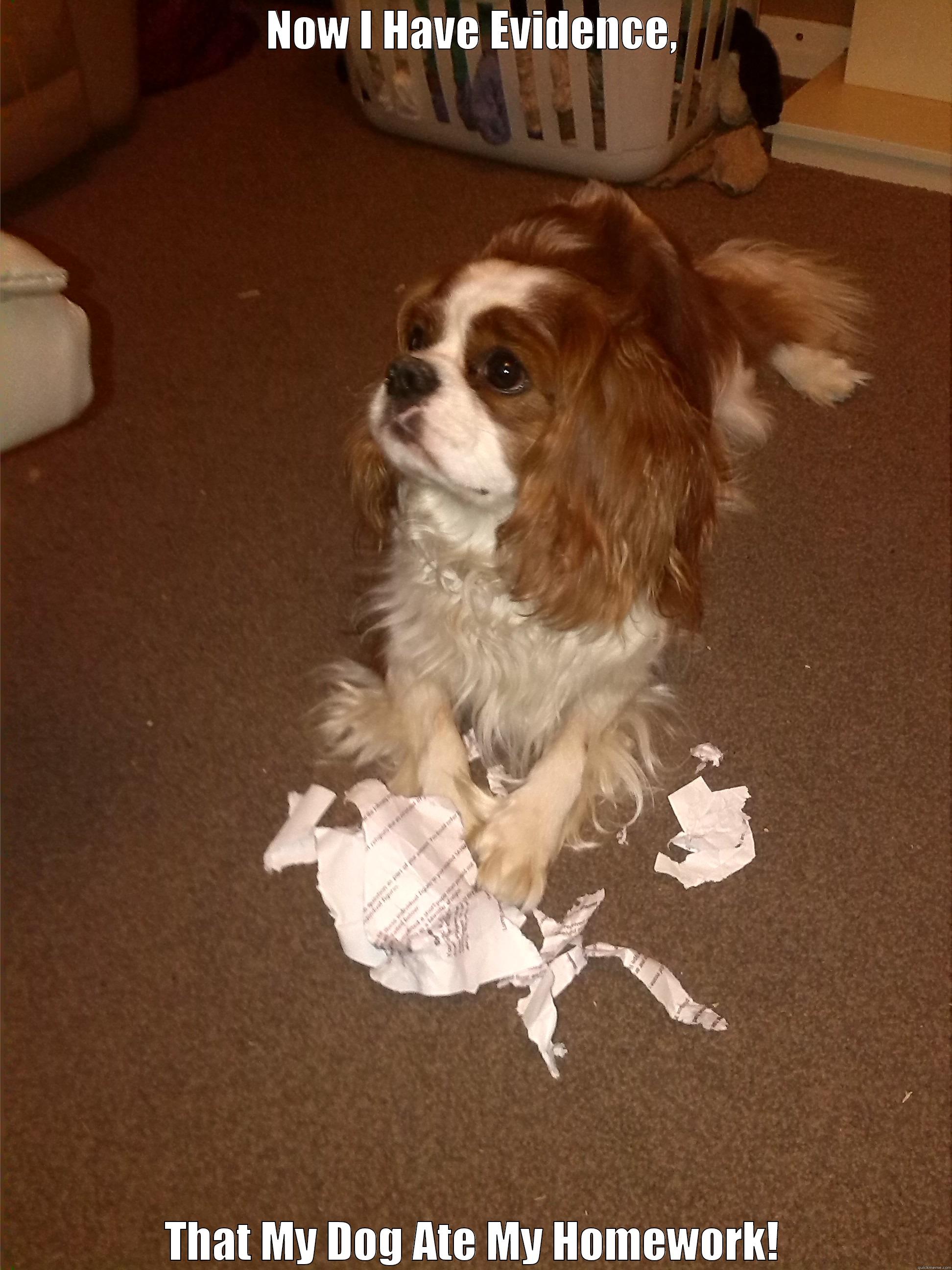 MY DOG ATE MY HOMEwORK - NOW I HAVE EVIDENCE, THAT MY DOG ATE MY HOMEWORK! Misc