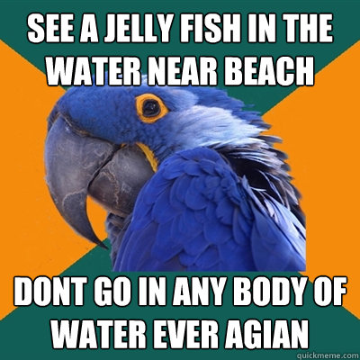 see a jelly fish in the water near beach  dont go in any body of water ever agian   Paranoid Parrot