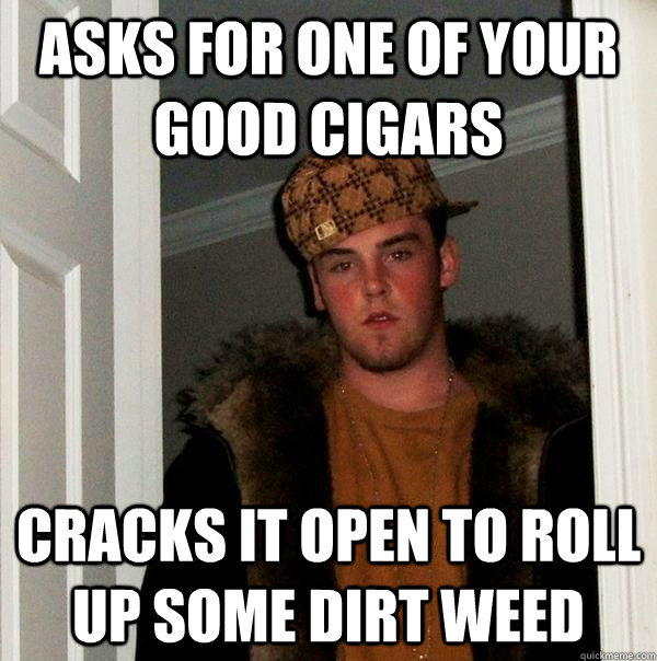 asks for one of your good cigars cracks it open to roll up some dirt weed - asks for one of your good cigars cracks it open to roll up some dirt weed  Scumbag Steve