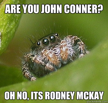 ARE YOU JOHN CONNER? oH NO, ITS RODNEY MCKAY  Misunderstood Spider