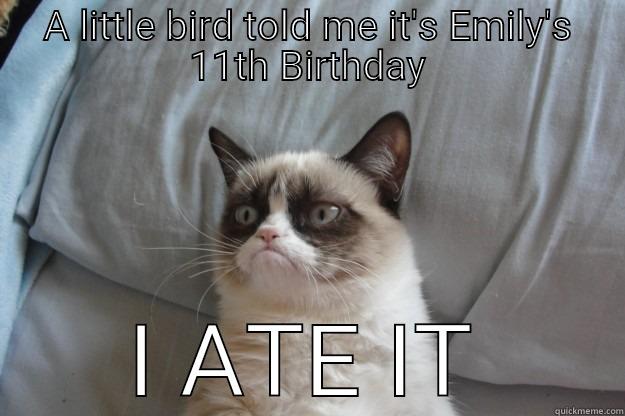 A LITTLE BIRD TOLD ME IT'S EMILY'S 11TH BIRTHDAY I ATE IT Grumpy Cat