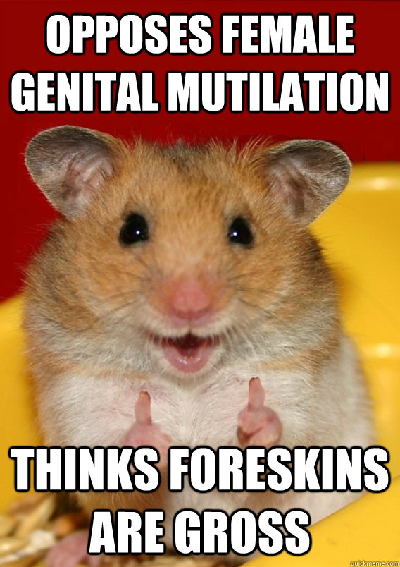 Opposes Female Genital Mutilation Thinks foreskins are gross  - Opposes Female Genital Mutilation Thinks foreskins are gross   Rationalization Hamster