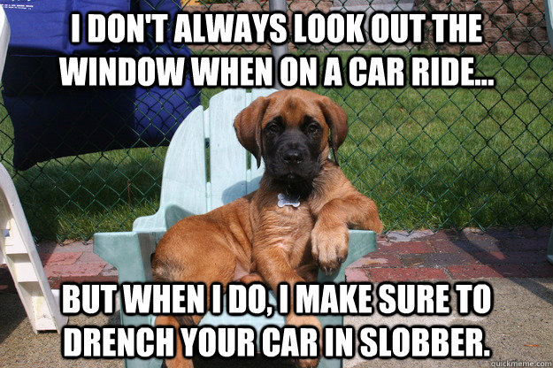 i don't always look out the window when on a car ride... but when I do, I make sure to drench your car in slobber.  - i don't always look out the window when on a car ride... but when I do, I make sure to drench your car in slobber.   The Most Interesting Dog in the World