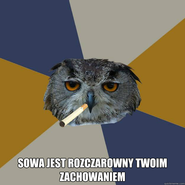  Sowa jest rozczarowny twoim zachowaniem  Art Student Owl