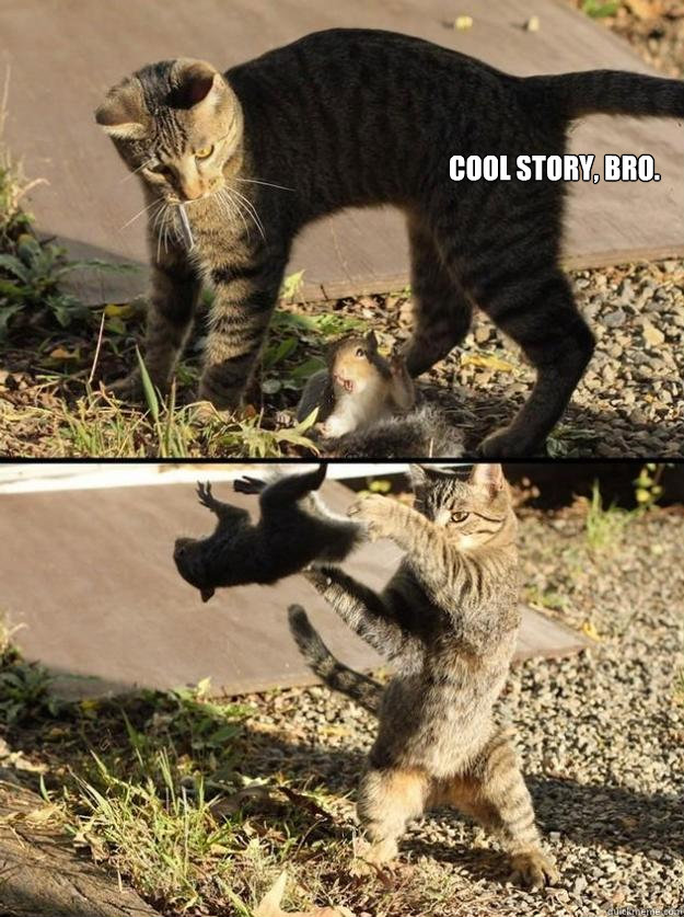 Cool story, bro.  Annoying Squirrel