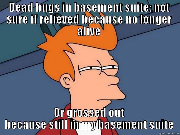 DEAD BUGS IN BASEMENT SUITE: NOT SURE IF RELIEVED BECAUSE NO LONGER ALIVE OR GROSSED OUT BECAUSE STILL IN MY BASEMENT SUITE Futurama Fry