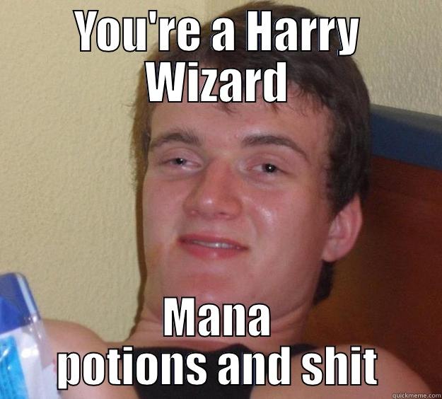 When Hagred walks in .. - YOU'RE A HARRY WIZARD MANA POTIONS AND SHIT 10 Guy