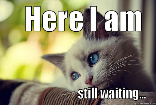 All Alone -    HERE I AM                                STILL WAITING... First World Problems Cat