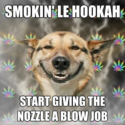 smokin' le hookah  start giving the nozzle a blow job  Stoner Dog